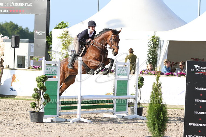 0.80 m (startnr 17 - 33)