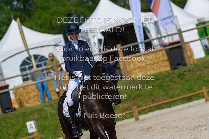 1 Jonge Paarden Dressuur 4 Jarige