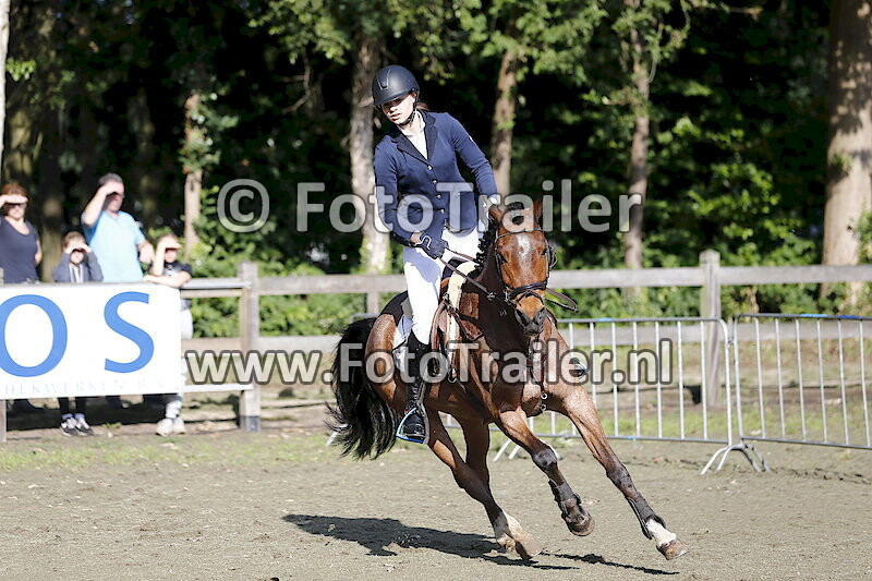 Demi Kattenpoel oude Heerink