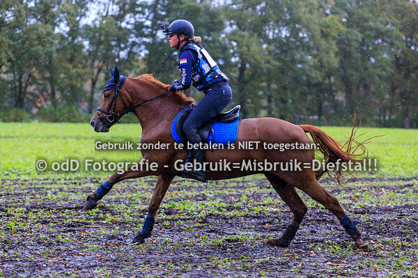 Eventing Barchem paard B pony L 25-10-25