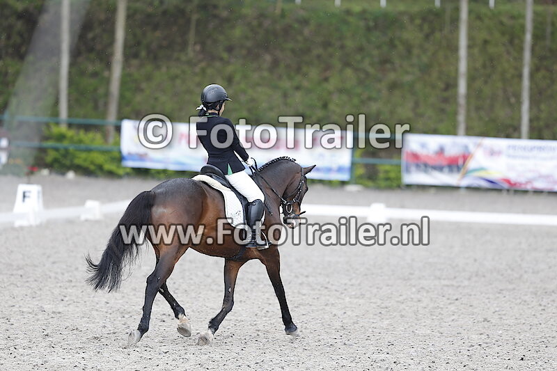 Mega Veronica Cincin