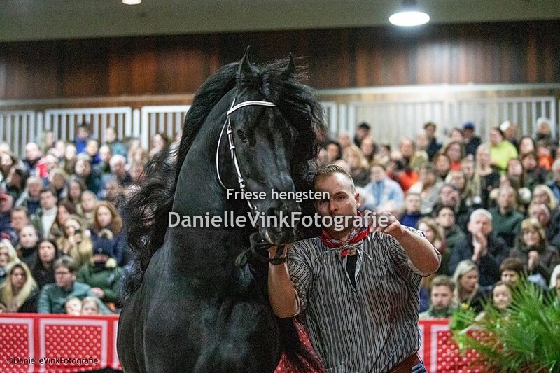 Hengstenshow Lunteren 25-02-2023 Epke 474