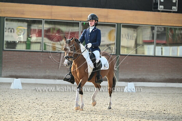 Sophie Schroder - Chinook v.d. Robinshoeve