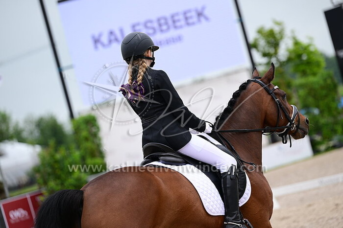 Madelief Wattel - Kentijn