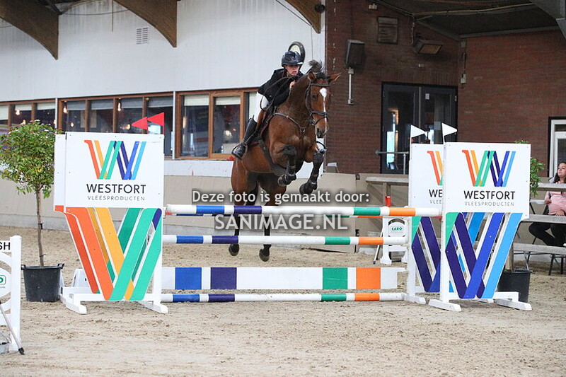 Zilfia's Hoeve Springen Paarden 26-10-2024 110 cm