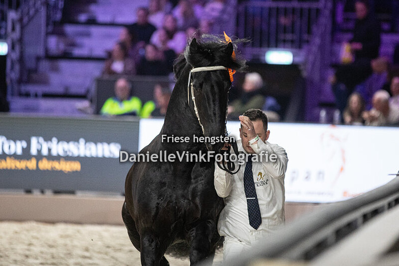 Hengstenkeuring 2025 Herre 524