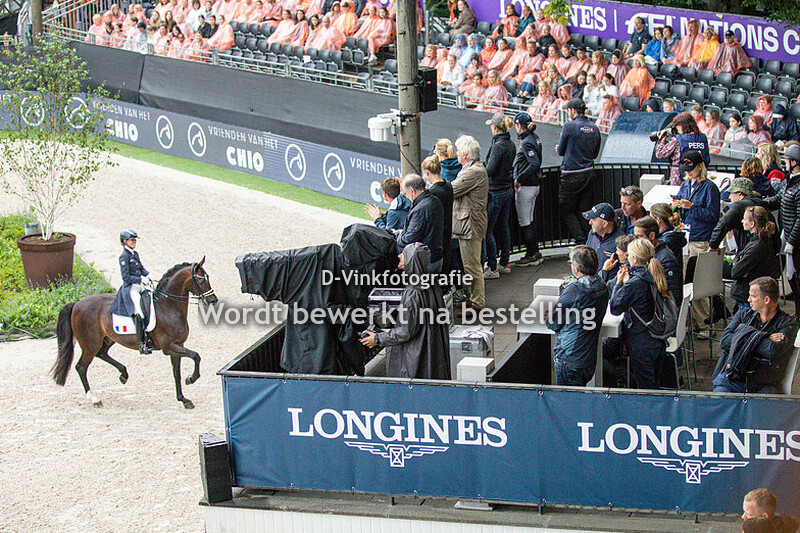 Morgan Barbancon - Sir Donnerhall II Old