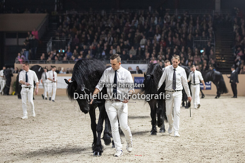 Hengstenkeuring 2023 Eise 489