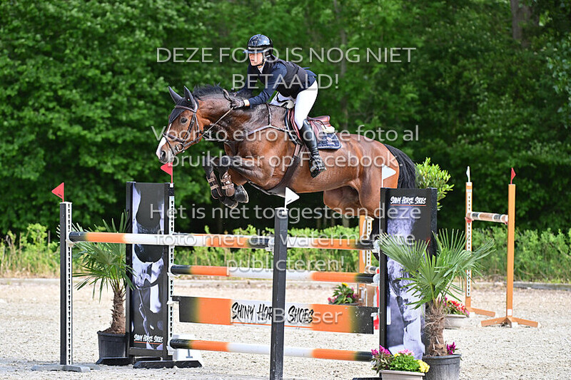 24 ETL Grote prijs, klassiek paarden 1.30-1.35 m MB