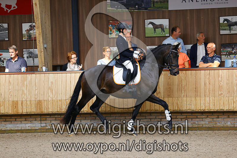 Monsieur Utopia v. Expression