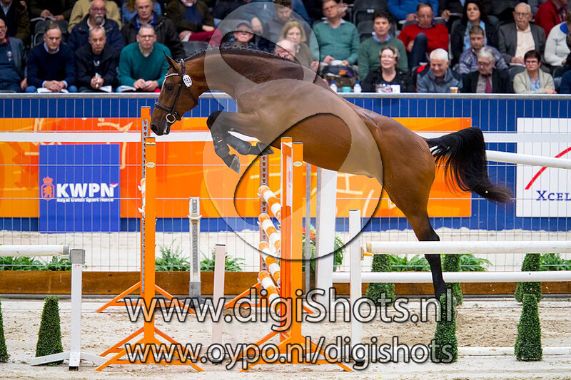 Larenzo S v. Hermantico