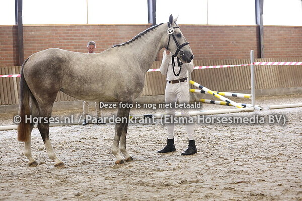 25 Sonnarissa (mr Cornet de Regor x Honarissa v. Inshallah de Muze)