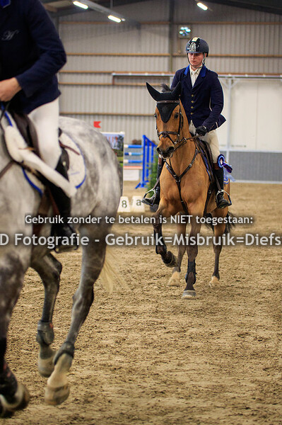 Regiokampioenschappen Limburg Springen Paarden Z en ZZ 16-02-19