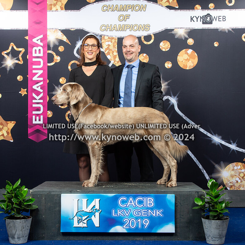 CHAMPION OF CHAMPIONS