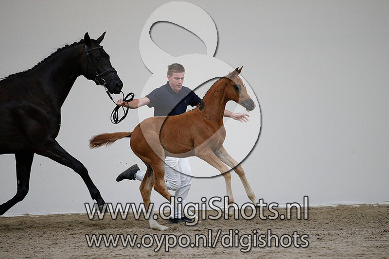 Only You SG v. Governor