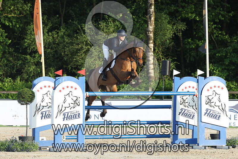 Ovito van de Looise Heide