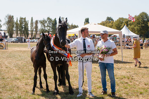 60. Gideon fan Stal Bellefleur