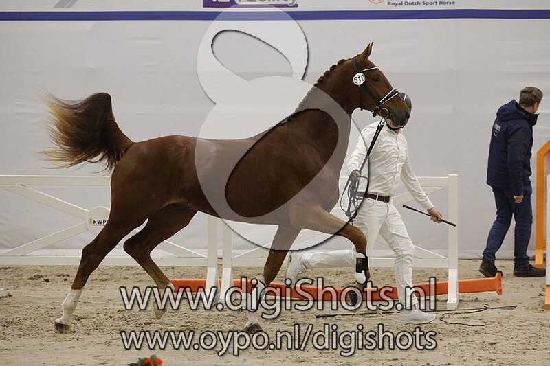 Red Lloyd v. Lloyd - 610