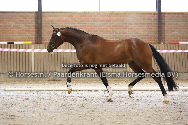 2 Summertime Dream MW Bloomberg x Flower Dream v. Floresco)