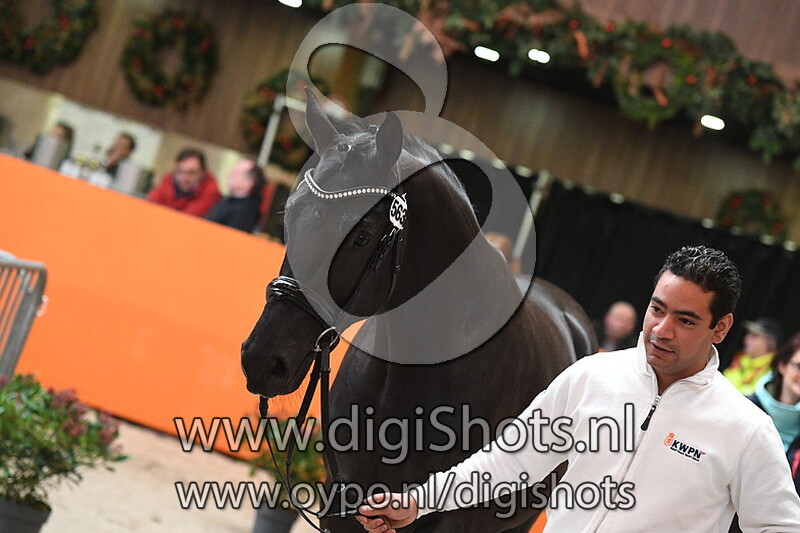 Mauro vd Watermolen v. Zonik