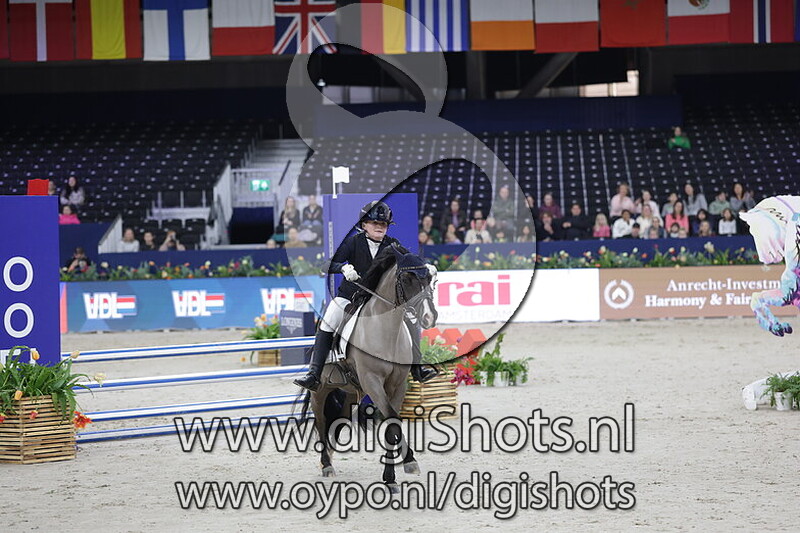 Blue Forest Spotlight