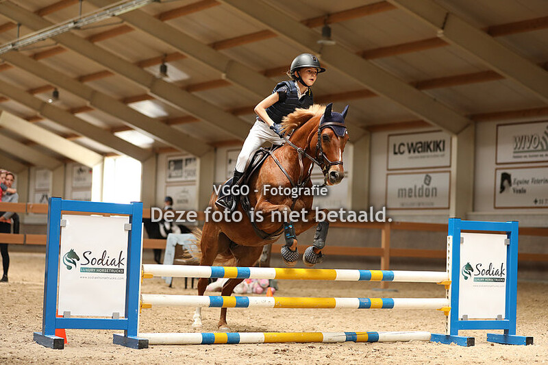 Dressuur & springen 13.00-15.00 uur