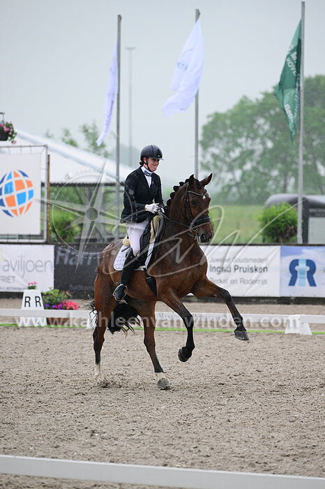 Sarah van de Meer - Laetitia D.E.