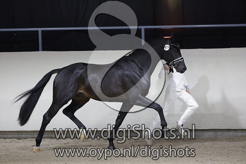 Onedin v. Glock's Toto Jr