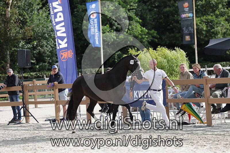 Shallow Dine RS2 v. Jameson RS2