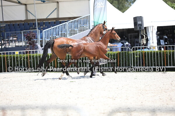 2 Orlando D (Hernandez x Casandra v. Casantos) (1)