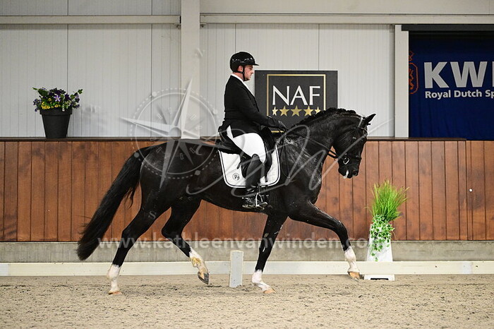 Luuck Dekker - Stanfield