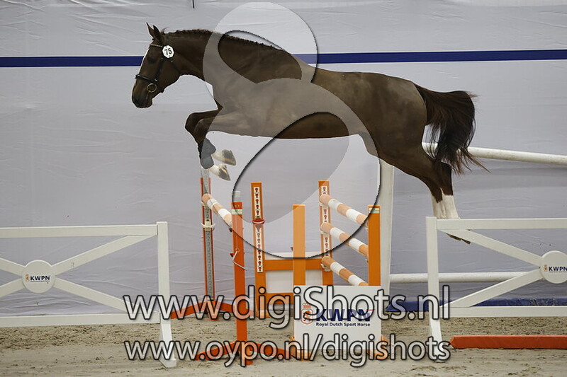 Wendall van 't Merelsnest v. Emerald van  't Ruytershof