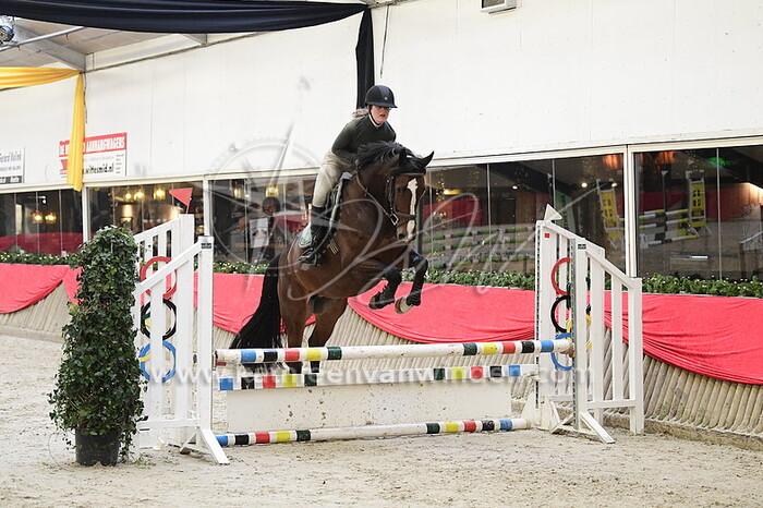 Joelle Schutte - Norali Ziance L