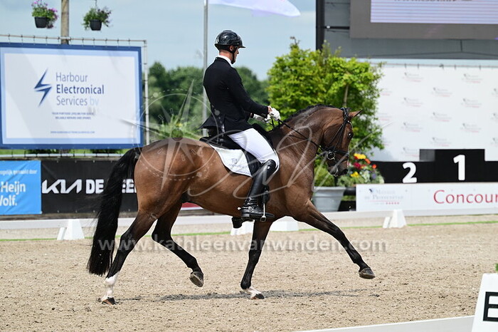 Nicky Snijder - Napoleon STH