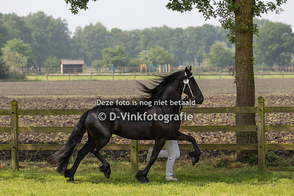 08. Rieke van 't Wilbroek