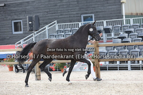 93 Niva Corieta Texel