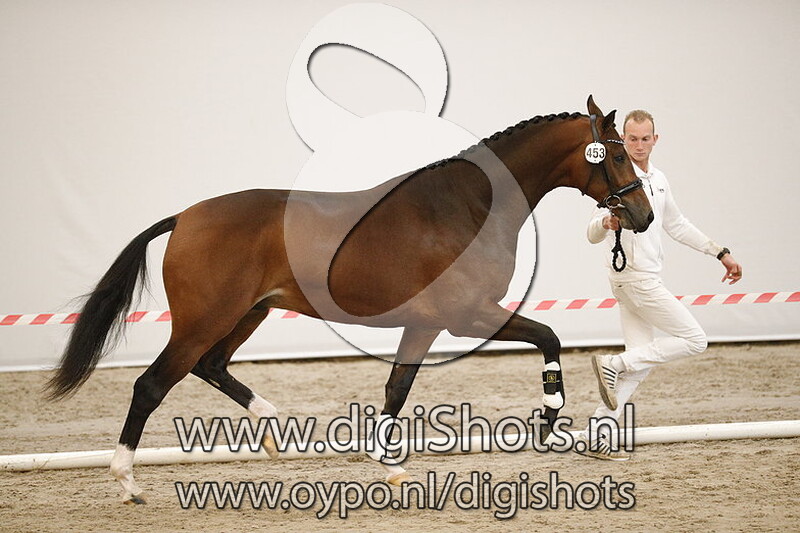 Moreno v. Glocks Toto Jr