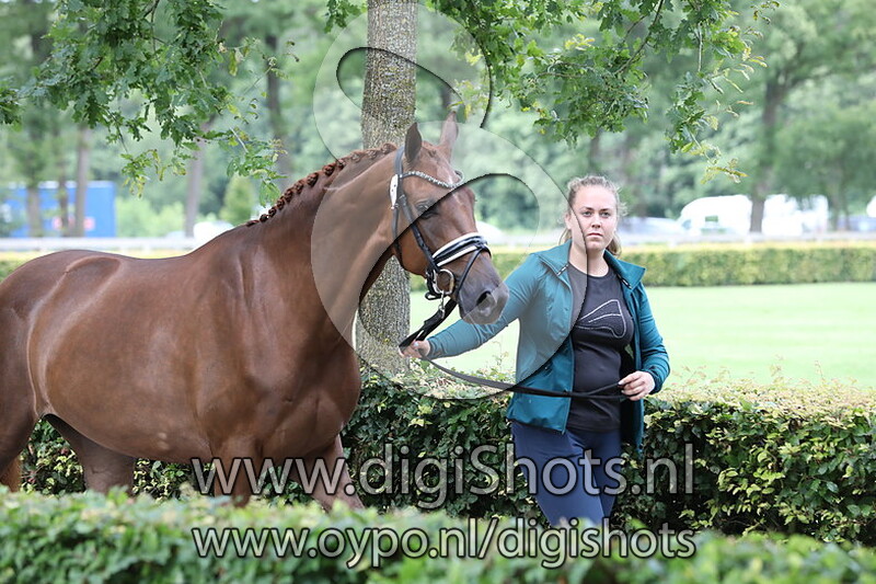 157 Nova H A Bertje v. Jakarta