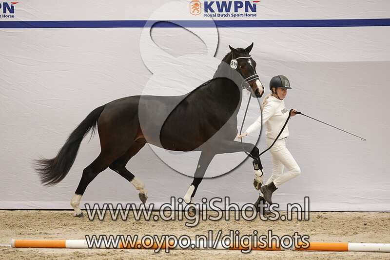 Spencer C v. Vitalis