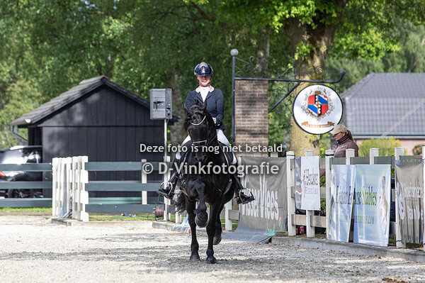 Rubriek 18. Bestgaand rijpaard oudere hengsten en ruinen