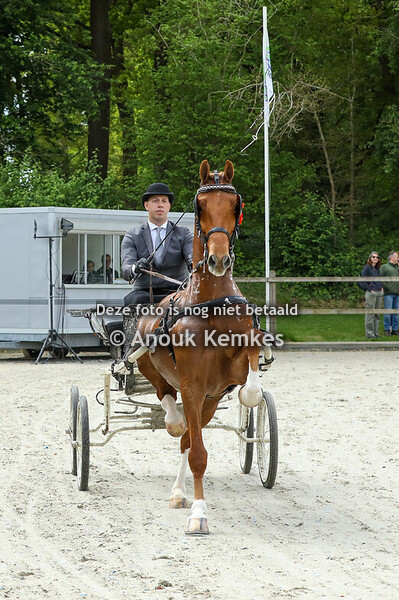 Regionaal Noord  - Ereklasse 