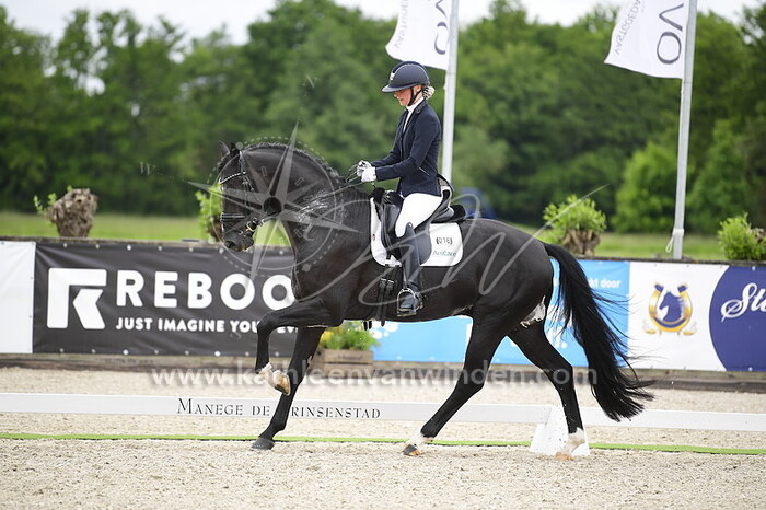 Crystal van Vliet - Oreo