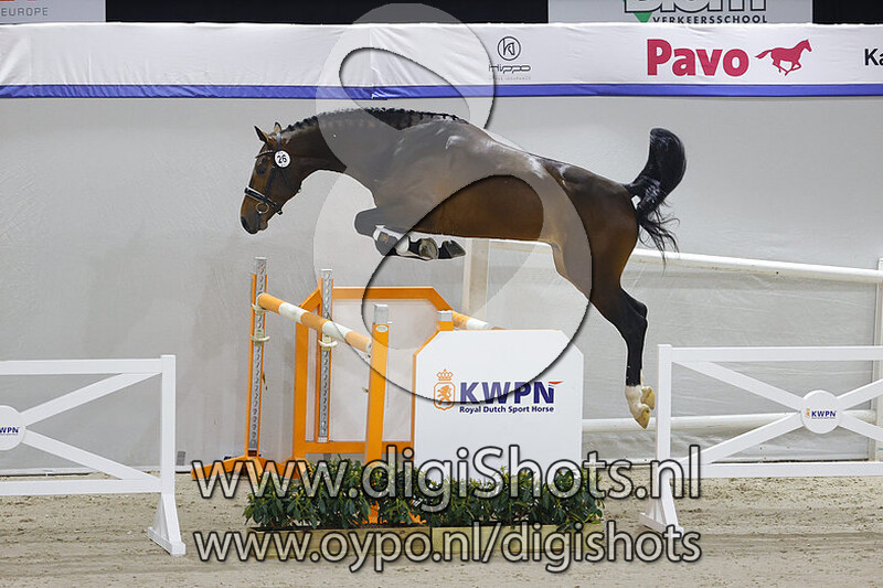 No Mercy v. Cape Coral RBF