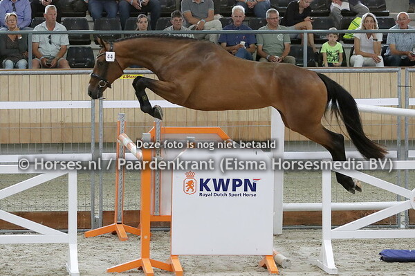 44 Nice SF (Chapeau x I-Nina Ricci v. Numero Uno)