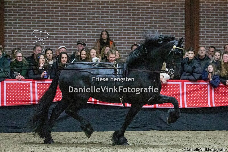 Hengstenshow Lunteren 25-02-2023 Maurus 441
