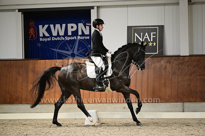 Mattias Dieltjens - Victoire de Perle