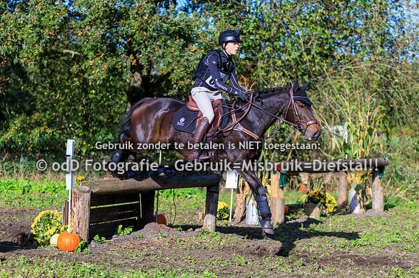 Eventing Diepenheim pony's L 18-10-25