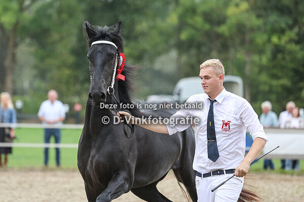 34. Talida van de Ossestraat