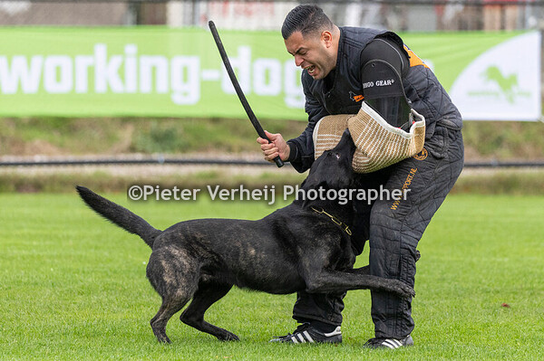 Rene Pots met Lasko van Valesca's Home
