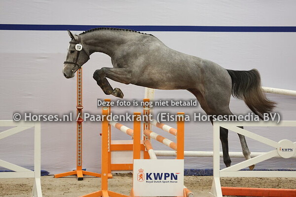 13 (Cape Coral RBF x Farfan M)